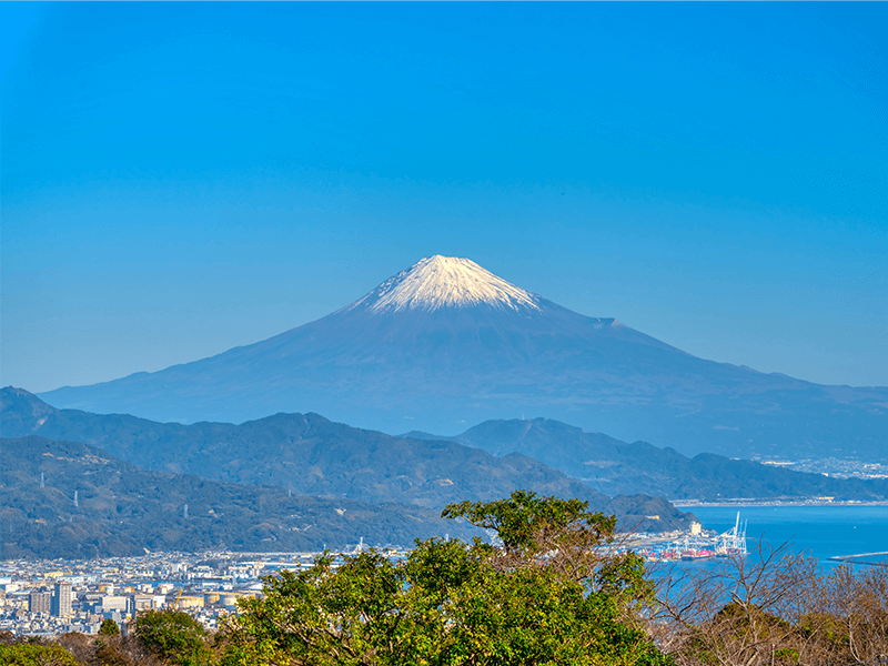 温泉旅館・宿・ホテルの宿泊旅行 予約サイト【ゆこゆこ公式】